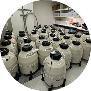 Maximize-Inventory-Efficiency-and-Value Maximize-Inventory-Efficiency-and-Value