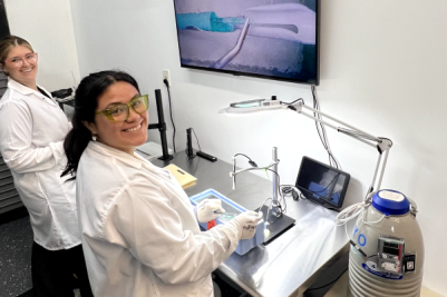 Hospital-Based Clinic Storage Optimization